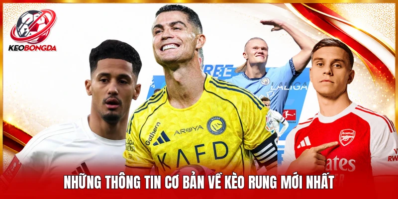 Những thông tin cơ bản về kèo rung mới nhất 